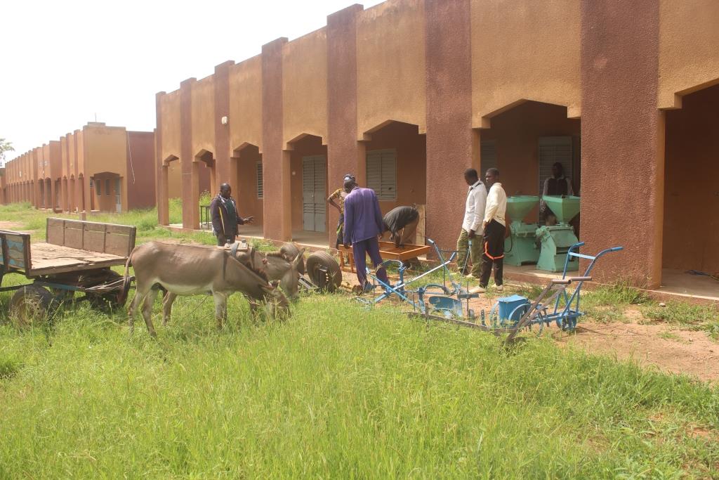 mali