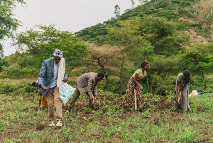 safe tigray attività agricole